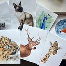 Il mio progetto del corso: Ritratti espressivi di animali ad acquerello con Sarah Stokes . Ilustrație tradițională, Pictură în acuarelă, Desen realist & Ilustrație naturalistă de Giorgia - 01.17.2024