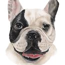 Ilustrações em aquarela animais. Ilustração tradicional projeto de Giana Tenius - 18.01.2024