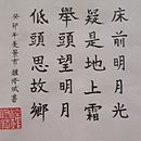 Meu projeto do curso: Introdução à caligrafia chinesa Ein Projekt aus dem Bereich Kalligrafie von Paulo Nolli - 18.01.2024