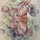 My project for course: Naturalist Illustrations with Watercolors: Drawing and Composition. Traditional illustration, Drawing, Watercolor Painting, and Naturalistic Illustration project by sjjk_s - 01.19.2024