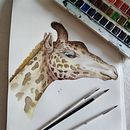 Mon projet du cours : Illustrations réalistes de la vie sauvage à l'aquarelle. Un projet de Beaux Arts, Peinture, Aquarelle et Illustration naturaliste de plumedegeai - 19.01.2024