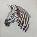My project for course: Watercolor Illustration: Painting Realistic Wildlife. Un projet de Beaux Arts, Peinture, Aquarelle et Illustration naturaliste de sandralenore - 18.01.2024
