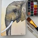 Mi proyecto del curso: Ilustración realista en acuarela de la vida salvaje. Un proyecto de Bellas Artes, Pintura, Pintura a la acuarela e Ilustración naturalista				 de Mónica Weber-Butler - 18.01.2024