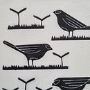 Cenas da Floresta Atlântica Pernambucana-Brasil Ein Projekt aus dem Bereich Traditionelle Illustration, H, werk, Bildende Künste, Prägung, Porträtzeichnung, Illustration mit Tinte und Gravieren von TIAGO DE ALBUQUERQUE SALES E KIEMLE - 21.01.2024