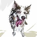 Lila the border collie. Traditional illustration, and Digital Illustration project by dominika_syczynska - 01.21.2024