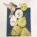 My project for course: Botanical Watercolor: Illustrating Art and Science. Un projet de Illustration traditionnelle, Beaux Arts, Peinture, Dessin, Aquarelle et Illustration botanique de Monique Ernst - 22.01.2024