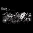 Portafolio Diseño Gráfico. Un proyecto de Diseño gráfico, Diseño Web, Diseño y Publicidad de Marvin Moya - 19.01.2024