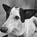 Primeira lição da aula de Era Azurmend. Un proyecto de Fotografía de Julia de Sousa Costa - 23.01.2024