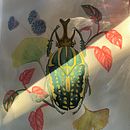 My project for course: Botanical Watercolor Painting of the Natural World. Een project van  Beeldende kunst, Schilderij, Aquarelschilderen,  Botanische illustratie y Naturalistische illustratie van taniaocampo - 25.01.2024