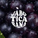 Meu projeto do curso: Criação de manual de identidade visual . Br, ing e Identidade, Design gráfico, Design de logotipo, e Design de papelaria projeto de Caike Assis - 21.01.2024