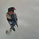 My Paintings. Pintura em aquarela, e Pintura Acrílica projeto de Kim McWhinnie - 26.01.2024