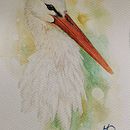 My project for course: Naturalist Bird Illustration with Watercolors. Traditional illustration, Watercolor Painting, Realistic Drawing, and Naturalistic Illustration project by Dorottya Molnár - 01.22.2024