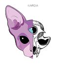 S P H Y N X . % Angélica M. Lozano Porras tarafından hazırlanan Vektör İllüstras, Ve onu projesi - 06.10.2010