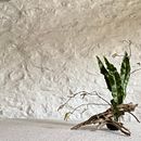 freestyle Ikebana arrangement made using seasonal materials foraged from the garden. Projekt z dziedziny Projektowanie wnętrz, Rzeźba, Kreat, wność, Stor, telling, Concept art, Dekoracja wnętrz,  Sztuki piękne, Craft i Projektowanie przestrzeni użytkownika Jacqui Byrne - 27.01.2024