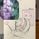 Nature and Emotions. Een project van  Ontwerp, Realistische tekening y Naturalistische illustratie van hilin mn - 27.01.2024
