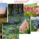 Mi proyecto del curso: Ilustración de fantasía con estilo propio. Traditional illustration, Drawing, Digital Illustration, Watercolor Painting, and Color Theor project by Julshit - 01.27.2024