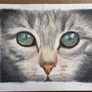 Cat. Traditional illustration project by Nadia Bruwer - 01.28.2024