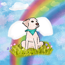 Mi proyecto del curso: Dibujo a lápiz de animales realistas para cuentos. Un proyecto de Diseño de personajes, Dibujo a lápiz, Dibujo e Ilustración infantil de veroduran23 - 29.01.2024