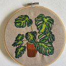 Bordado botânico de Costela de Adão em vaso . Un proyecto de Ilustración tradicional, Bordado, Teoría del color y Diseño textil de Elaine Campos - 29.01.2024