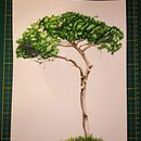 Il mio progetto del corso: Pittura ad acquerello: esplora le tecniche del pennello asciutto. Artes plásticas, Pintura, Desenho, Pintura em aquarela, Ilustração botânica e Ilustração naturalista projeto de Marzia Rizzi - 30.01.2024