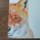 Retrato de mascotas, proyecto Ein Projekt aus dem Bereich Traditionelle Illustration und Naturalistische Illustration von Camila Prieto Cáffaro - 30.01.2024