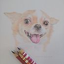 Meu projeto do curso: Retratos de pets a lápis de cor . Ilustrație tradițională & Ilustrație naturalistă de Carla Medina - 01.31.2024