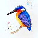 Kingfisher  . Seni Rupa proyek oleh Mariapaola Sorrentino - 01.31.2024