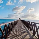 "Mi Paisaje Holístico" Ein Projekt aus dem Bereich Fotografie von Jelitssa Ozuna - 01.02.2024