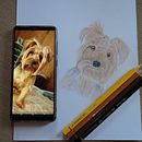 Mi proyecto del curso: Retratos de Mascotas en Lápices de Colores. Ilustração tradicional e Ilustração naturalista projeto de Angeles Miranda - 31.01.2024