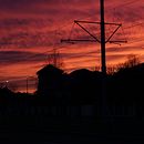 Canon EOS 750D . Fotografie și Arte și meșteșuguri de Turcu Cristina-Tereza - 02.04.2024