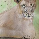 Mon projet du cours : Portraits expressifs d'animaux à l'aquarelle. Traditional illustration, Watercolor Painting, Realistic Drawing, and Naturalistic Illustration project by sandrine GANIER - 02.04.2024