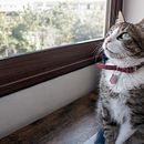 Mi proyecto del curso: Fotografía para principiantes: descubre tu cámara digital. Een project van Fotografie, Digitale fotografie y Fotografische compositie van mmelij - 05.02.2024