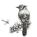 My project for course: Naturalist Illustration with Ballpoint Pen  Ein Projekt aus dem Bereich Traditionelle Illustration, Zeichnung, Realistische Zeichnung und Naturalistische Illustration von Sylvia Strauss - 03.02.2024