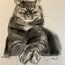 My project for course: Expressive Drawing with Charcoal . % Regina Raycheva tarafından hazırlanan Güzel sanatlar, Çizim, Portre Çizimi, Doğalcı İllüstras, Ve on projesi - 02.05.2024