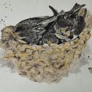 Swallows in the nest. Painting project by Dorottya Molnár - 02.03.2024