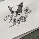 Ilustraciones. Un proyecto de Ilustración tradicional de Lucía Rizzo Correa - 05.02.2024