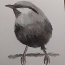Mi proyecto del curso: Acuarela artística para ilustración de aves. Un progetto di Illustrazione tradizionale, Pittura ad acquerello, Disegno realistico e Illustrazione naturalistica di Laura Córdoba Salgado - 05.02.2024