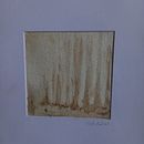 Mon projet du cours : Création d'aquarelles liquides à base de pigments végétaux. Projekt z dziedziny Craft,  Sztuki piękne,  Malarstwo, Malowanie akwarelą, DIY i Teoria barw użytkownika CORIANDRE - 06.02.2024