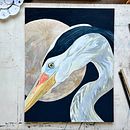 Great Blue Heron Ein Projekt aus dem Bereich Aquarellmalerei von Lauren da Silva - 03.02.2024