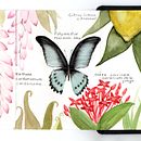 Mon projet du cours : Carnet naturaliste à l'aquarelle. Un proyecto de Ilustración tradicional, Pintura a la acuarela, Ilustración botánica, Sketchbook e Ilustración naturalista				 de Claire Poyet - 08.02.2024