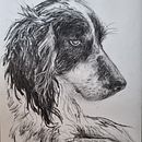 Final project ('Animal Illustration with Charcoal and Ink'). Projekt z dziedziny  Sztuki piękne,  R, sunek, Ilustracja naturalist, czna,  R i sunek atramentem użytkownika Helen Gräwert - 09.02.2024