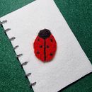 Mein Abschlussprojekt für den Kurs: Stop-Motion mit Nadelfilzen. Photograph, Animation, Arts, Crafts, Video, Stop Motion, Fiber Arts, and Needle Felting project by Elena - 02.10.2024