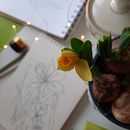 My project for course: Instagram Videos: Capture Your Creative Process Ein Projekt aus dem Bereich Smartphonefotografie, Instagram, Fotografie für Instagram, Lifest und le-Fotografie von Zanda Milzarāja - 10.02.2024