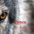  Fuoco, se luce cercavi      Progetto del corso: Scrittura di thriller psicologici.   Monica Mazzanti. Un progetto di Scrittura, Narrativa, Scrittura di narrativa fiction, Scrittura creativa, Stor e telling di monicamarina - 11.02.2024