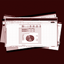Mi proyecto del curso: Excel para proyectos creativos y negocios. Projekt z dziedziny Zarządzanie, Produkt, wność, Business, Design i UX / UI użytkownika RominaLaura Cosentino - 13.02.2024