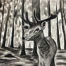 Deer in the woods Ein Projekt aus dem Bereich Zeichnung und Naturalistische Illustration von Jenell Green - 13.02.2024