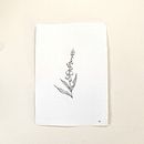 Floral Studies  . Ilustrasi tradisional proyek oleh Rory Creene - 02.14.2024