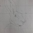 Mein Abschlussprojekt für den Kurs: Ausdrucksstarke Tierporträts in Aquarell . % sandramariadreyer tarafından hazırlanan Geleneksel illüstras, on, Sulubo, a Resim, Gerçekçi Çizim, Doğalcı İllüstras, Ve on projesi - 02.18.2024