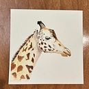 My project for course: Watercolor Illustration: Painting Realistic Wildlife. Un progetto di Belle arti, Pittura, Pittura ad acquerello e Illustrazione naturalistica di vxmastro - 18.02.2024