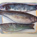Fish - mixed media. Painting project by Charlotte Jergitsch - 02.18.2024
